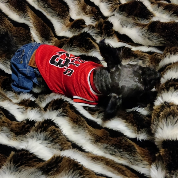 Meet your Posher, Suzanne - Picture 2 of 4